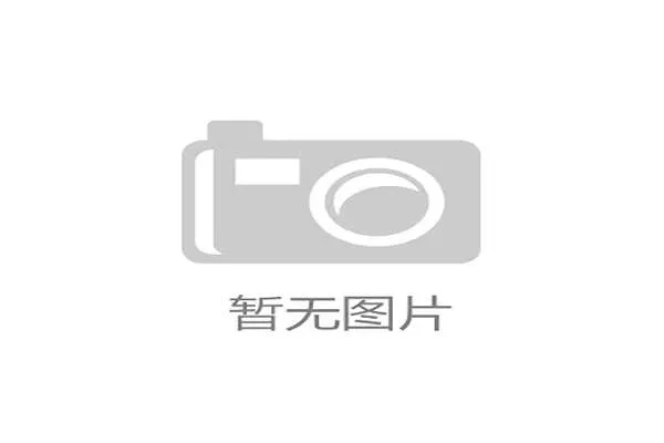 北美手球锦标赛上的跨国球迷友谊与文化交流
