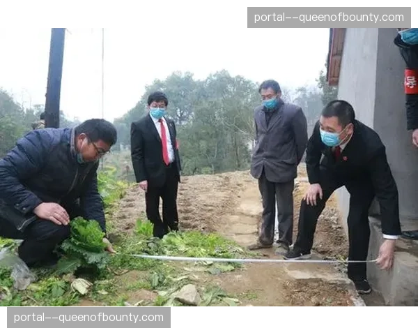 南非橄榄球协会就种族配额政策达成新的法庭和解协议